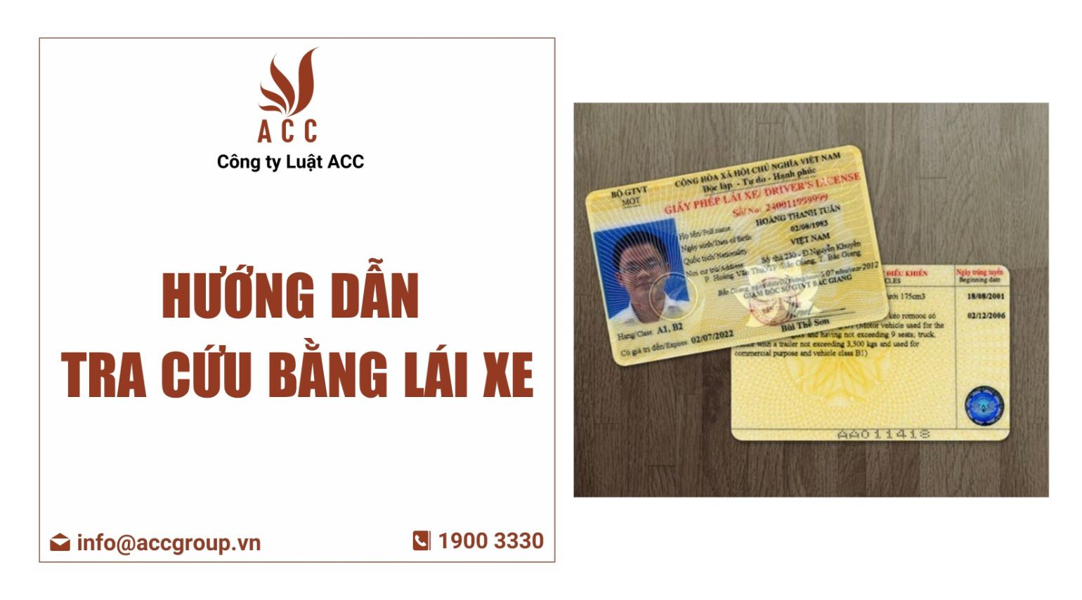 tra cứu bằng lái xe