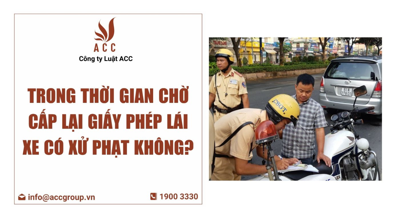 trong thời gian chờ cấp lại giấy phép lái xe