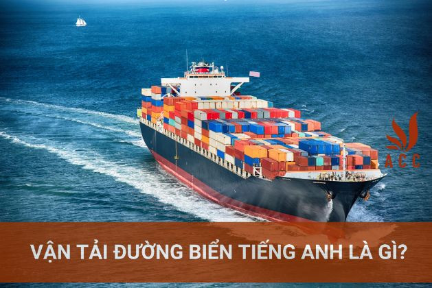 Vận tải đường biển tiếng anh là gì?