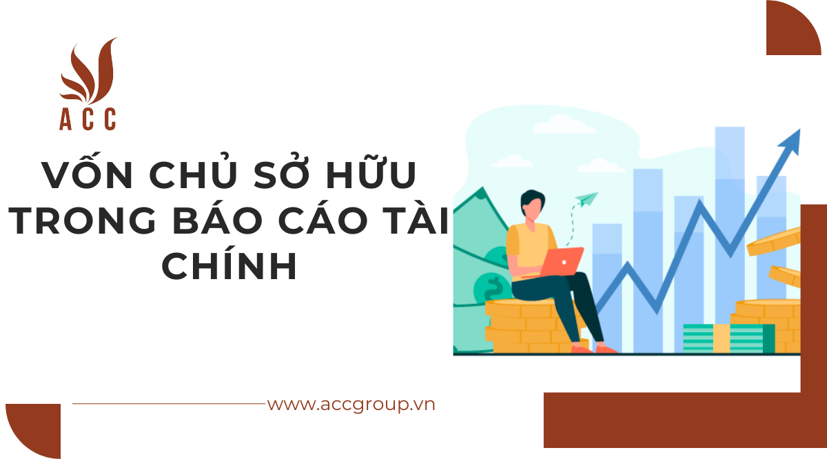 von-chu-so-huu-trong-bao-cao-tai-chinh
