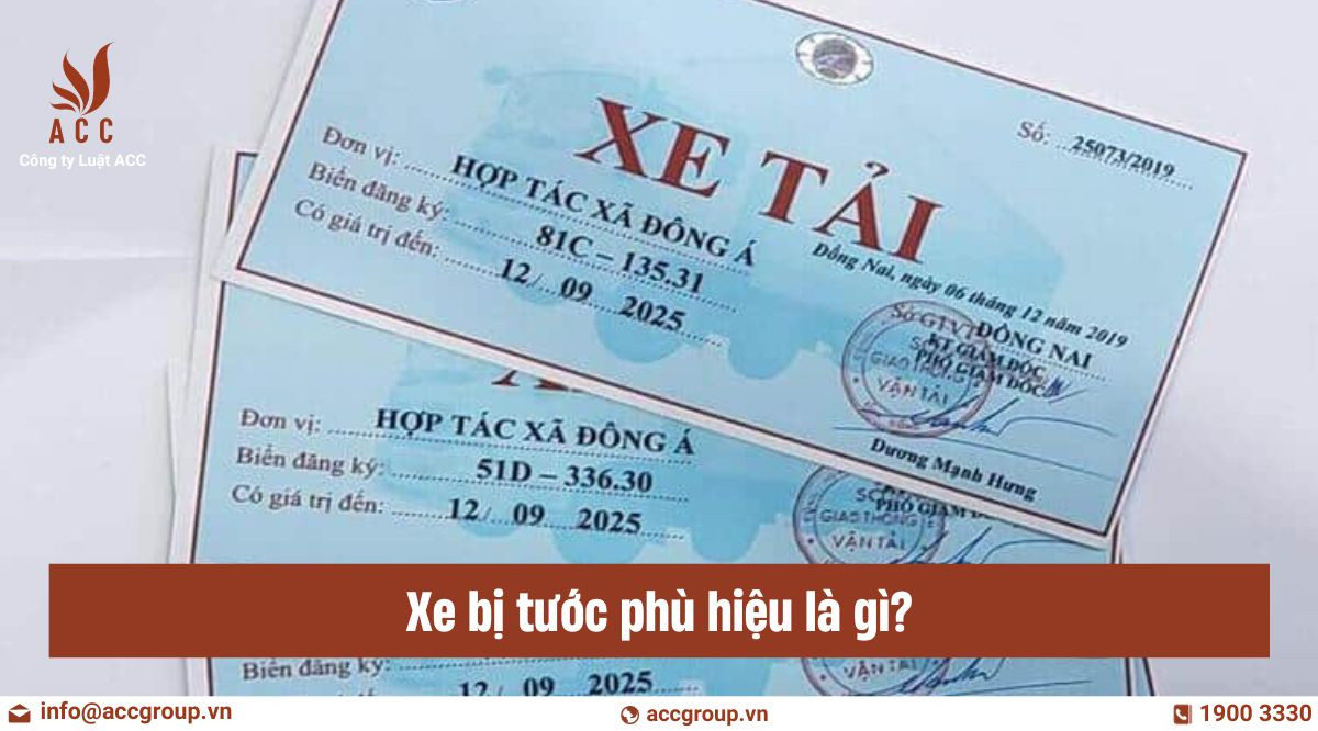 Xe bị tước phù hiệu là gì?