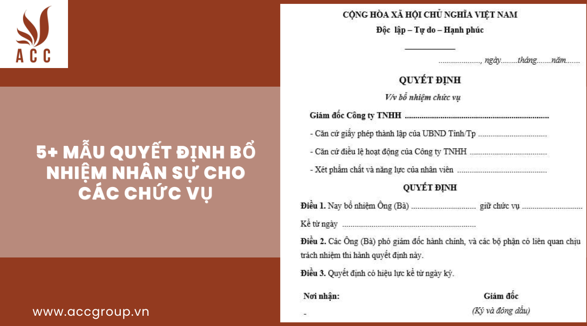 5+ mẫu quyết định bổ nhiệm nhân sự cho các chức vụ