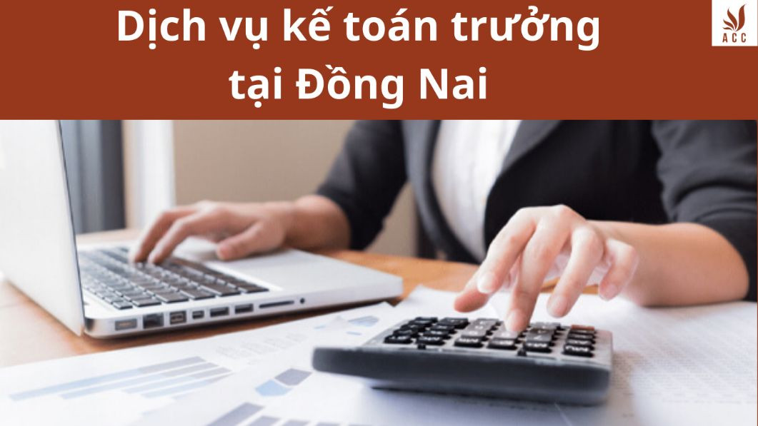 Dịch vụ kế toán trưởng tại Đồng Nai