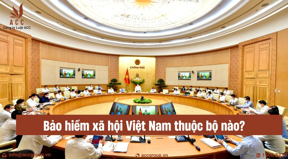 Bảo hiểm xã hội Việt Nam thuộc bộ nào?