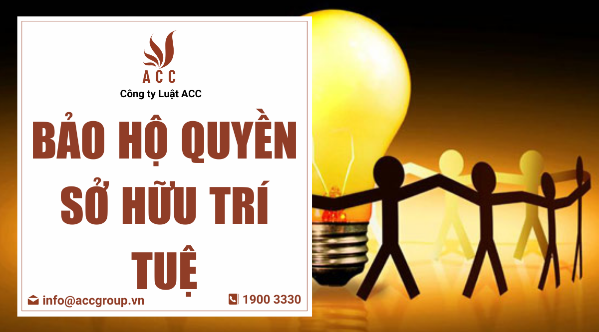 Bảo hộ quyền sở hữu trí tuệ