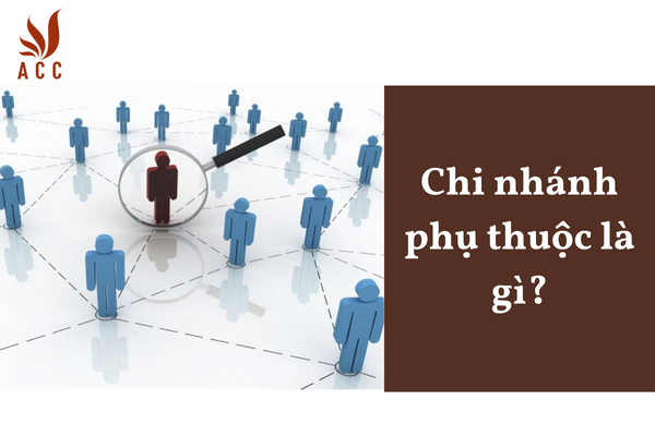 Chi nhánh phụ thuộc là gì?