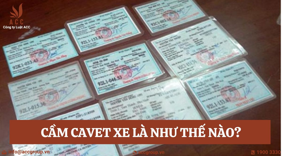 Cầm cavet xe là như thế nào?