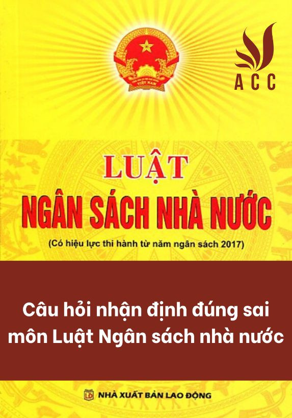 cau-hoi-nhan-dinh-dung-sai-luat-ngan-sach-nha-nuoc