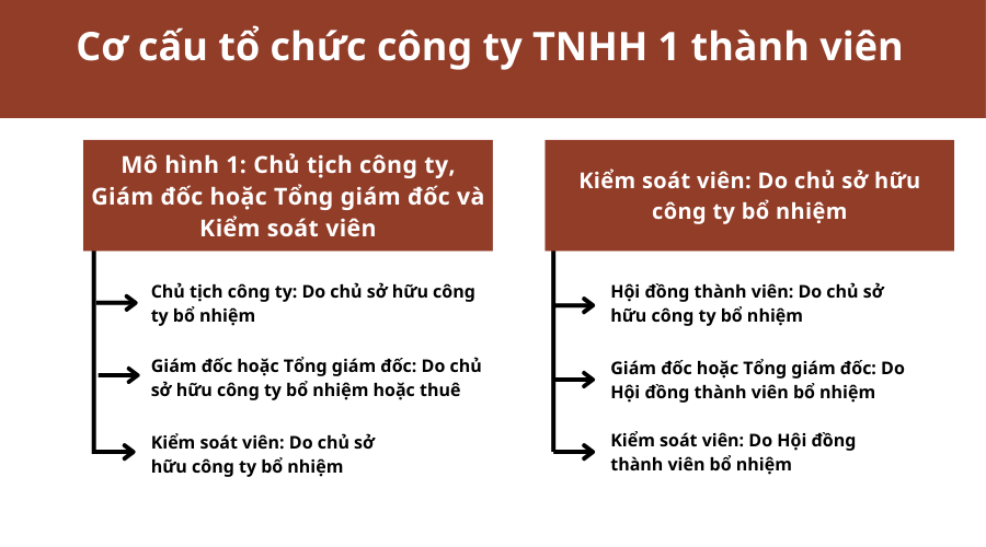 co-cau-to-chuc-cong-ty-tnhh-1-thanh-vien-1