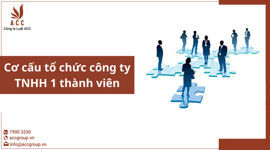 co-cau-to-chuc-cong-ty-tnhh-1-thanh-vien