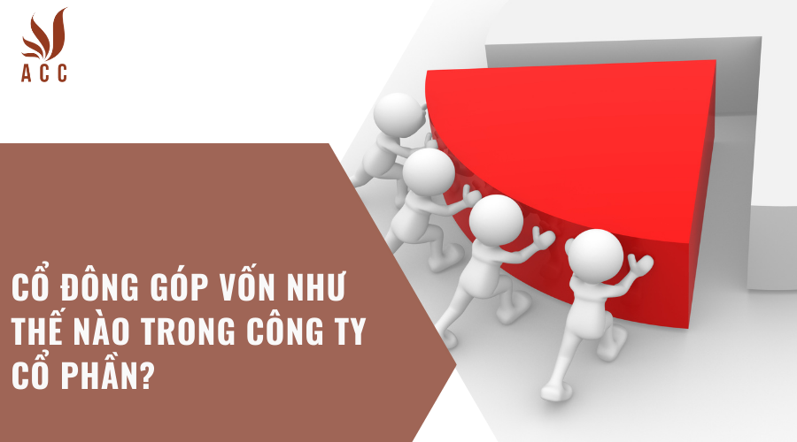co-dong-gop-von-nhu-the-nao-trong-cong-ty-co-phan