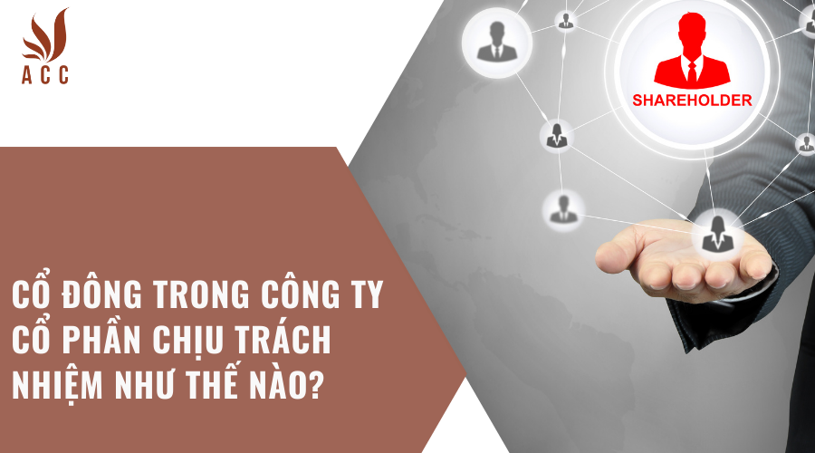 co-dong-trong-cong-ty-co-phan-chiu-trach-nhiem-nhu-the-nao