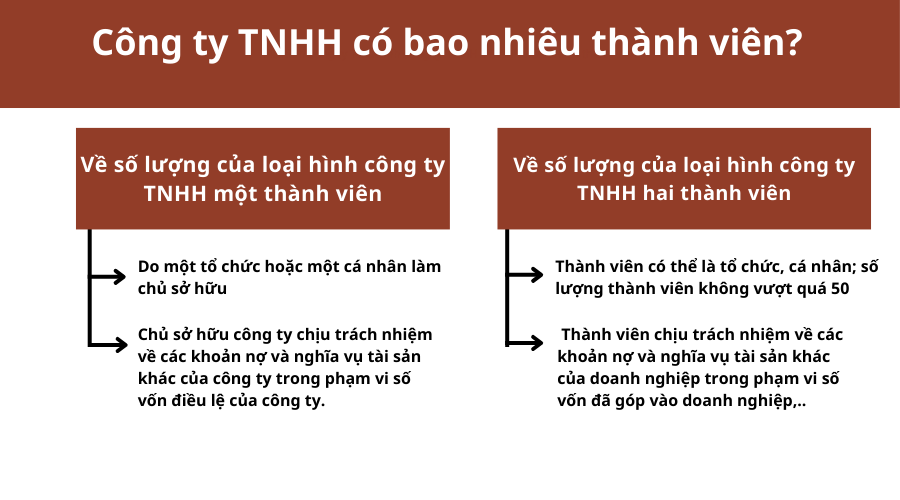 cong-ty-tnhh-co-bao-nhieu-thanh-vien-1