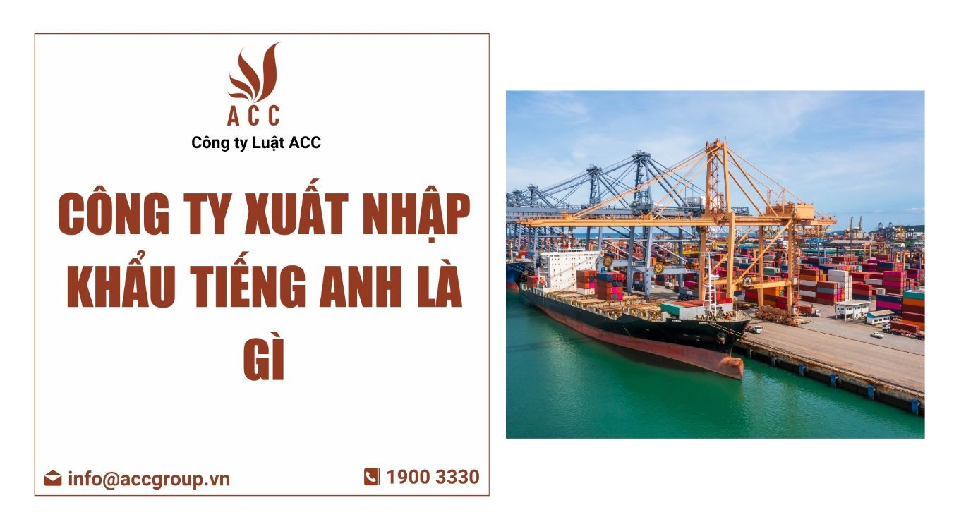 Công ty xuất nhập khẩu tiếng anh là gì