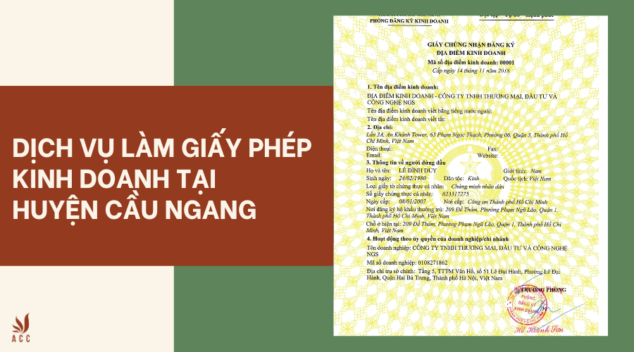 dich-vu-lam-giay-phep-kinh-doanh-1-15