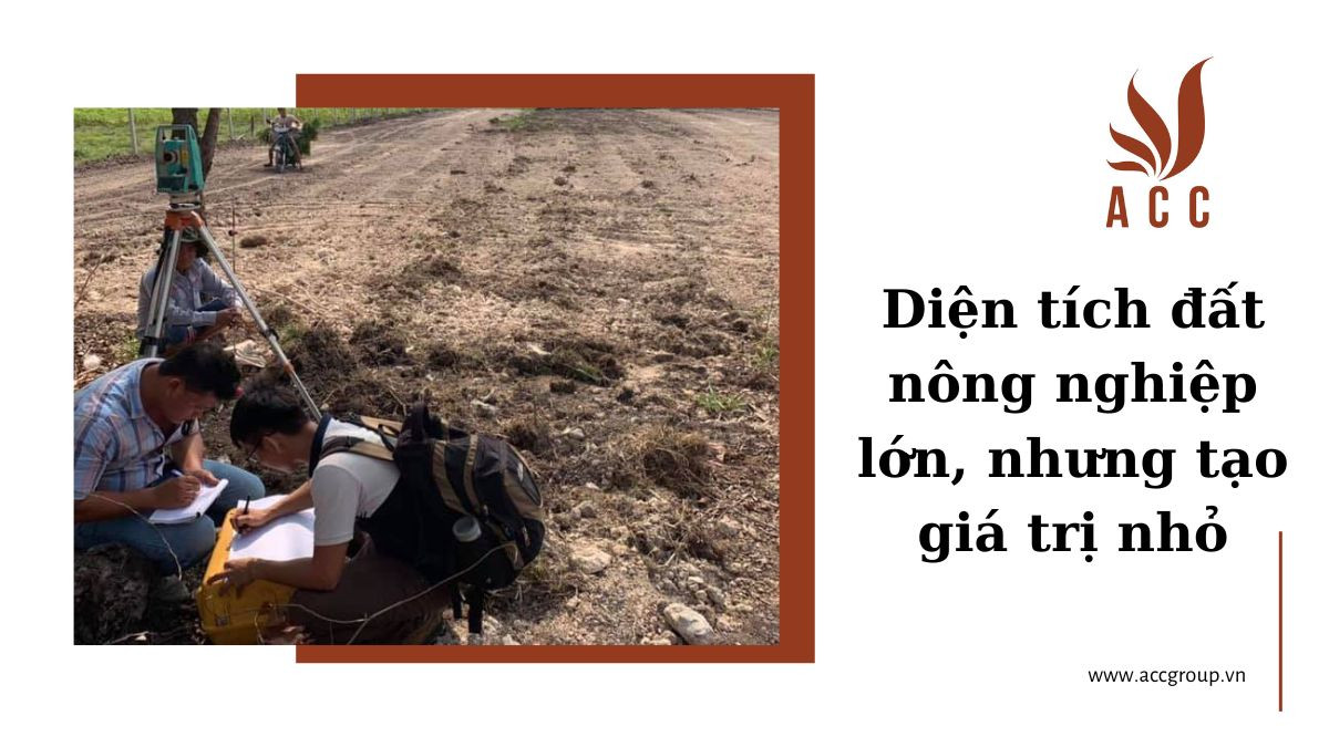 Diện tích đất nông nghiệp lớn, nhưng tạo giá trị nhỏ