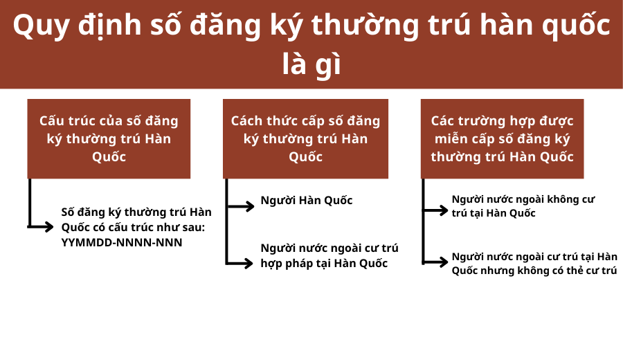 huong-dan-tra-cuu-ma-so-ho-khau-thuong-tru-chinh-xac-1