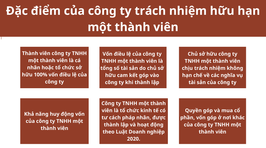 ii-dac-diem-cua-cong-ty-trach-nhiem-huu-han-mot-thanh-vien