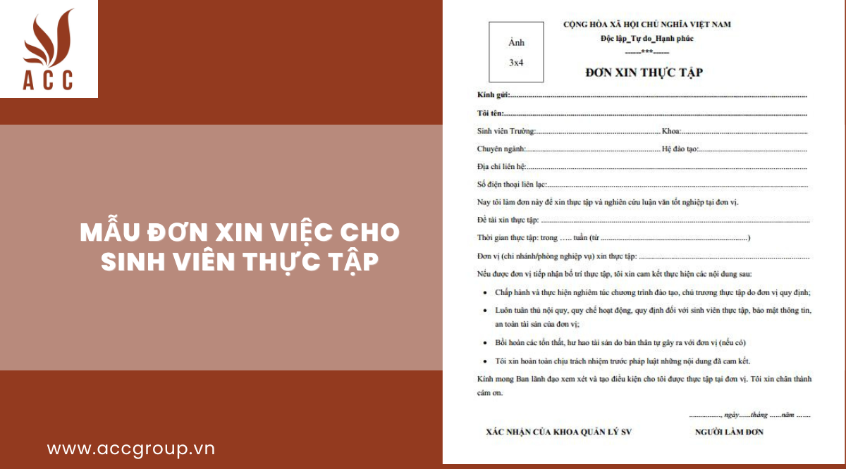 mau-don-xin-viec-cho-sinh-vien-thuc-tap