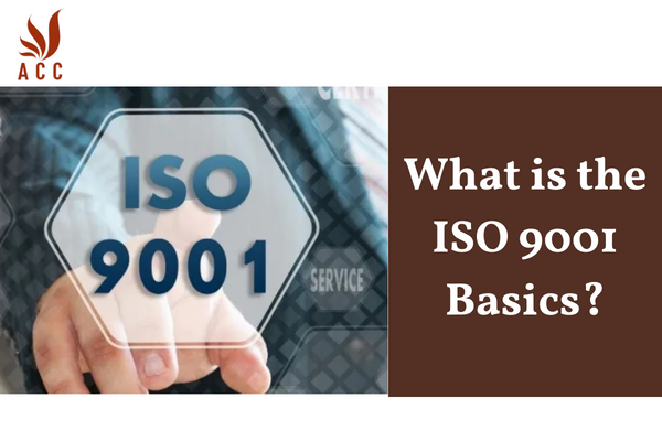 What is the ISO 9001 Basics?