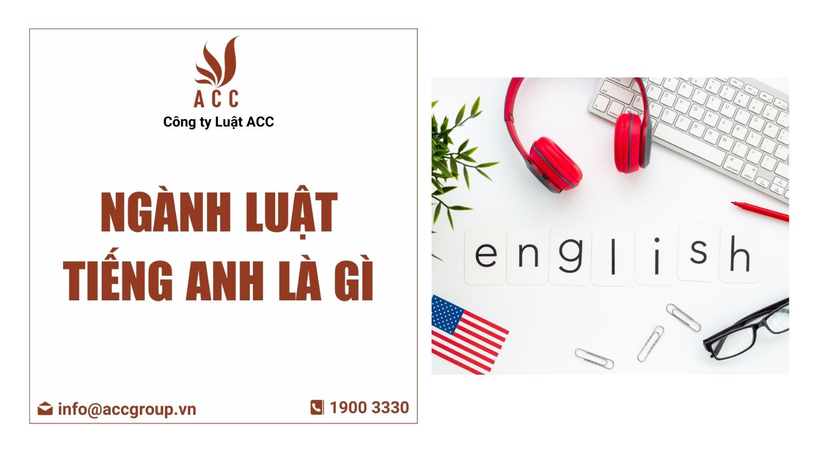 Ngành luật tiếng Anh là gì?