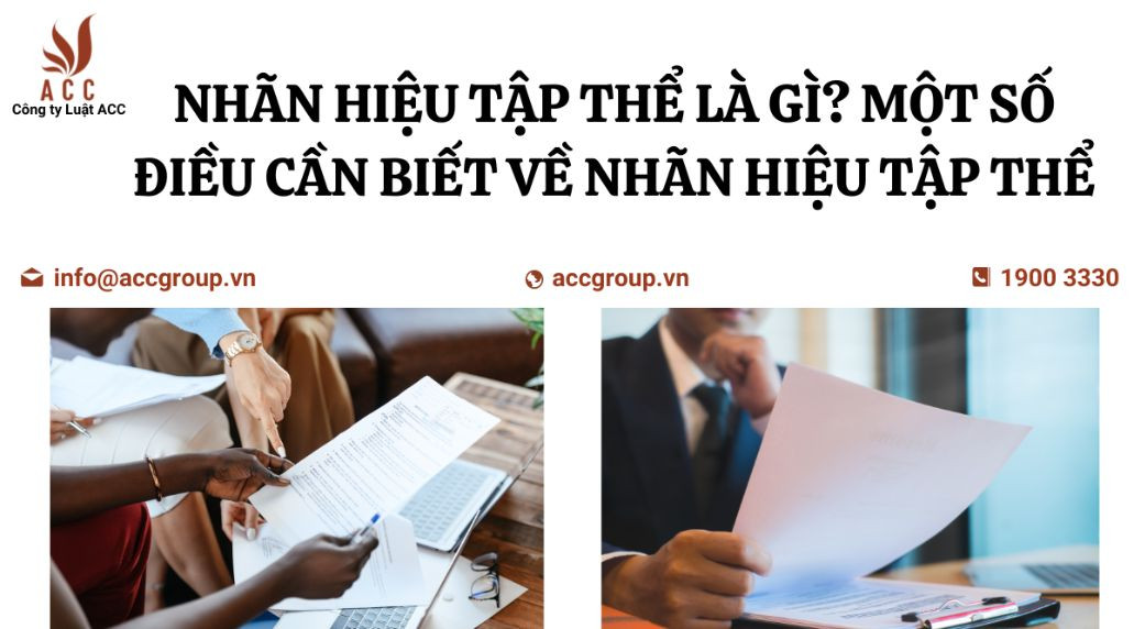 nhan-hieu-tap-the-la-gi-mot-so-dieu-can-biet-ve-nhan-hieu-tap-the