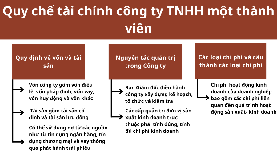 quy-che-tai-chinh-cong-ty-tnhh-mot-thanh-vien-1-1