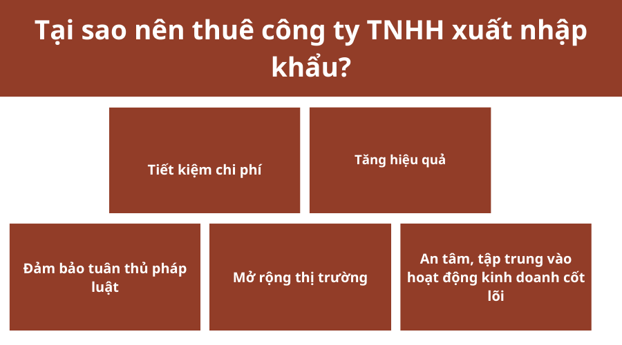 tai-sao-nen-thue-cong-ty-tnhh-xuat-nhap-khau