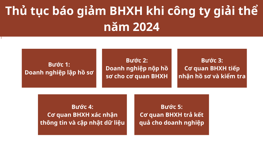thu-tuc-bao-giam-bhxh-khi-cong-ty-giai-the-nam-2024
