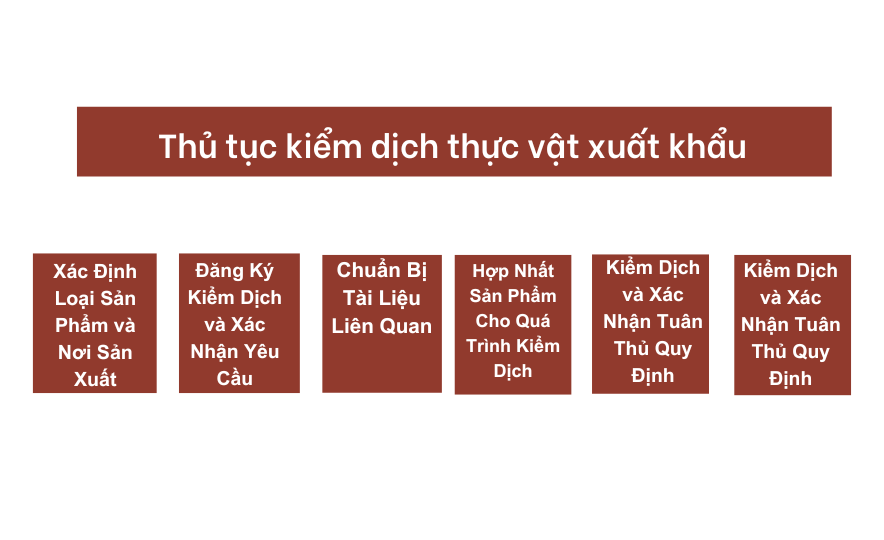 Thủ tục kiểm dịch thực vật xuất khẩu