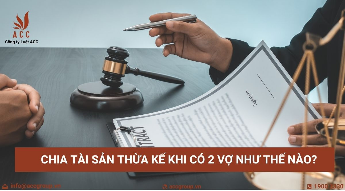 Chia tài sản thừa kế khi có 2 vợ