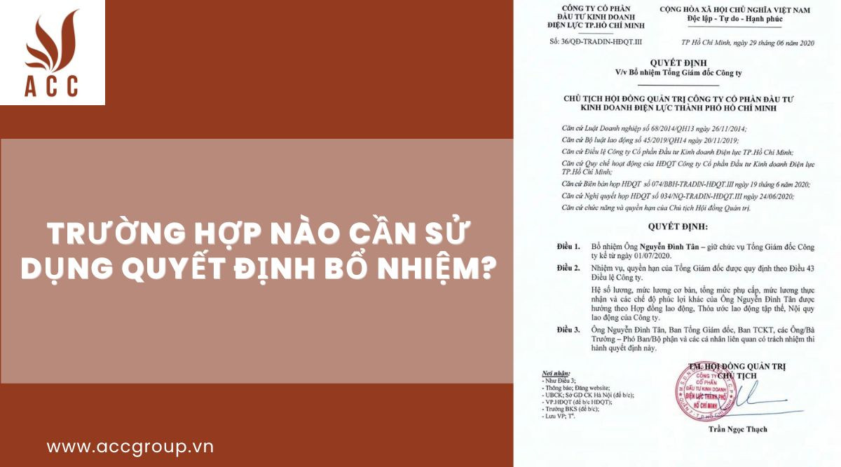 Trường hợp nào cần sử dụng Quyết định bổ nhiệm?