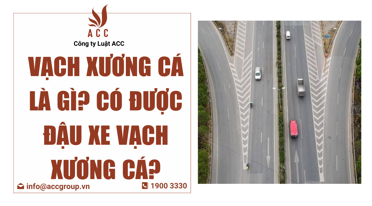 Vạch xương cá là gì? Có được đậu xe vạch xương cá?