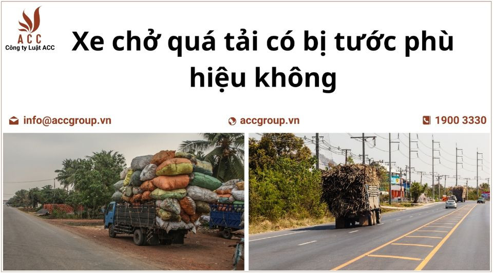 Xe chở quá tải có bị tước phù hiệu không