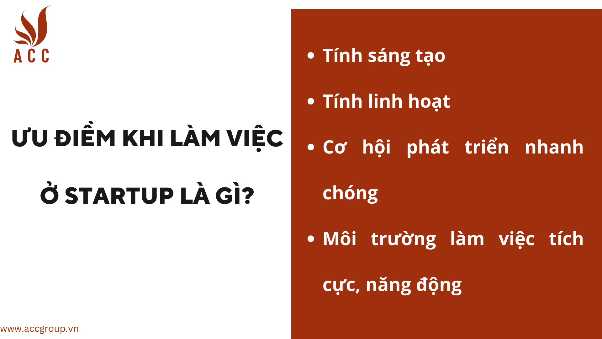 Ưu điểm khi làm việc ở Startup là gì?