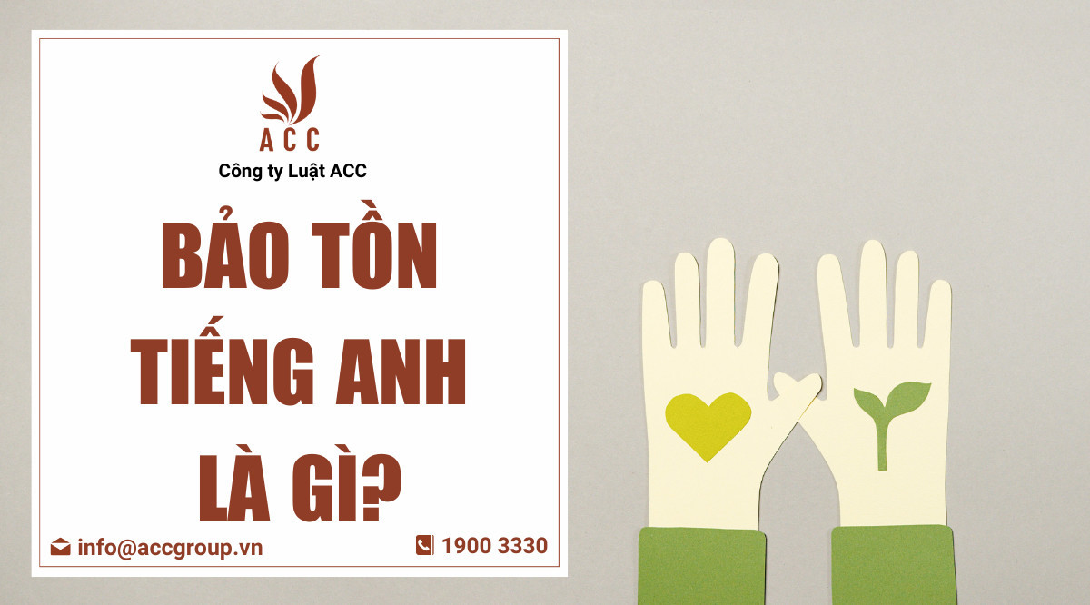 Bảo tồn tiếng Anh là gì?