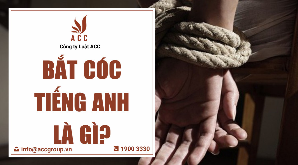 Bắt cóc tiếng Anh là gì?