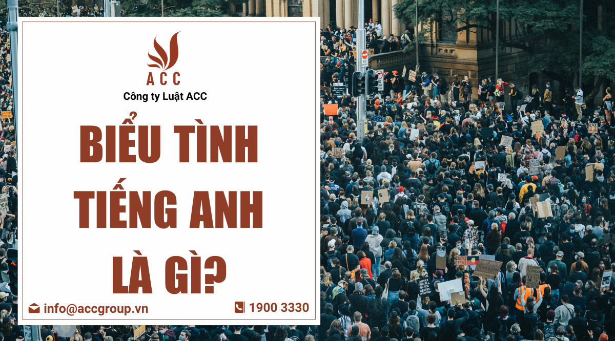 Biểu tình tiếng Anh là gì?
