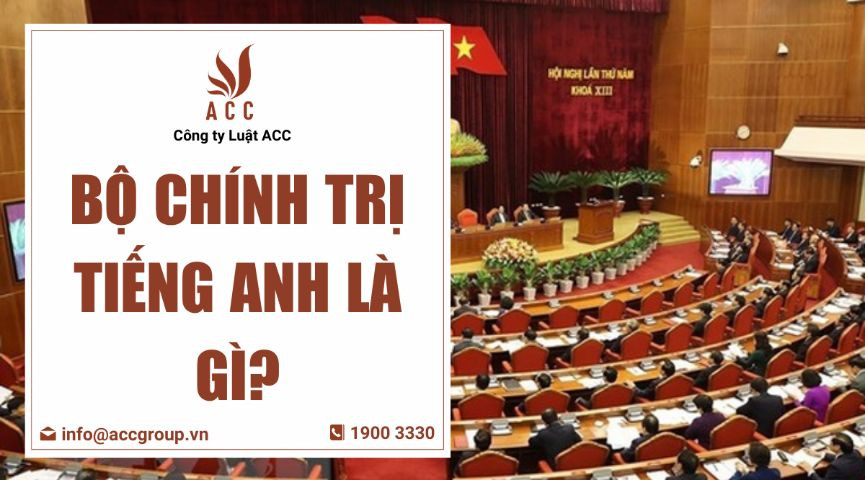 Bộ Chính trị tiếng Anh là gì?