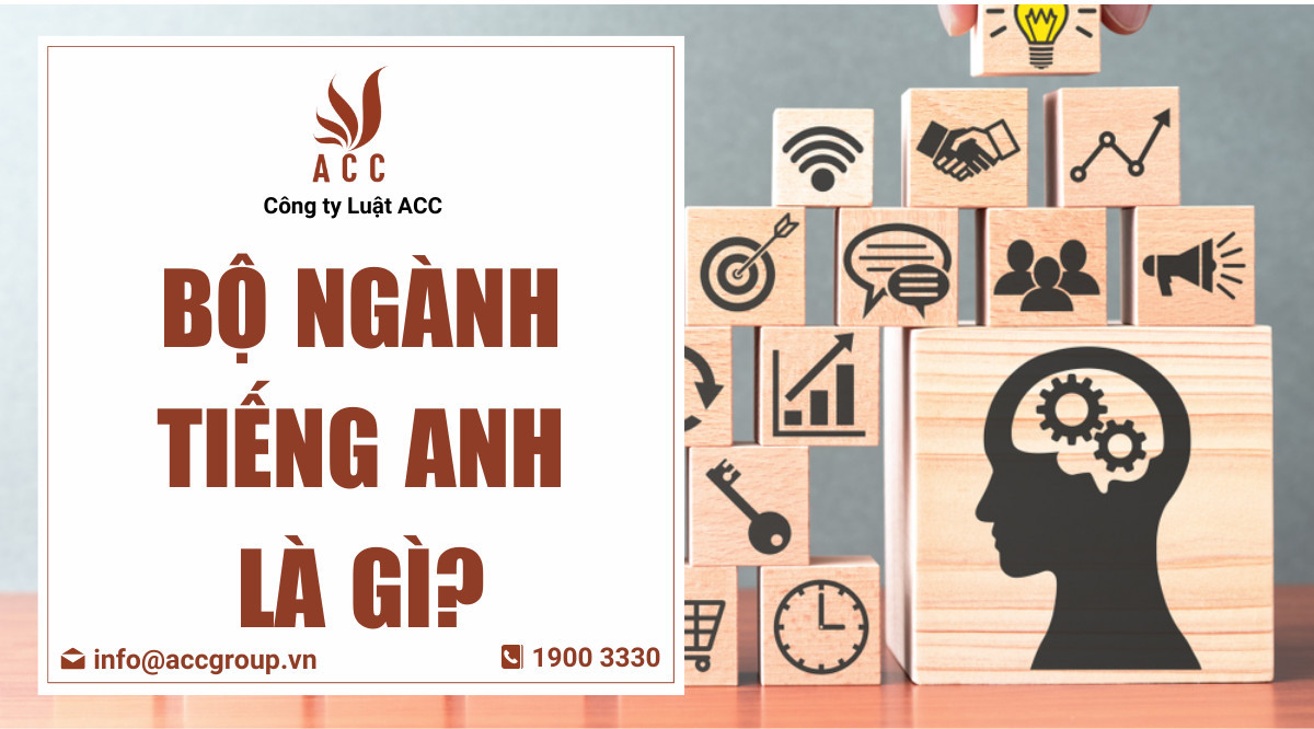 Bộ ngành tiếng Anh là gì?