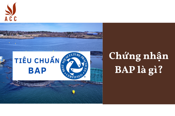 Chứng nhận BAP là gì?