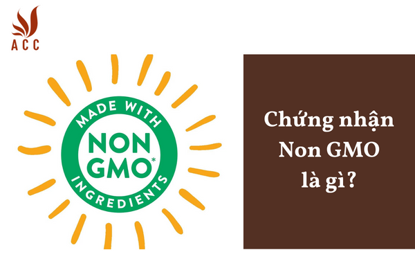 Chứng nhận Non GMO là gì?