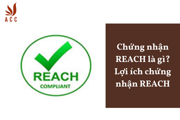 Chứng nhận REACH là gì? Lợi ích chứng nhận REACH