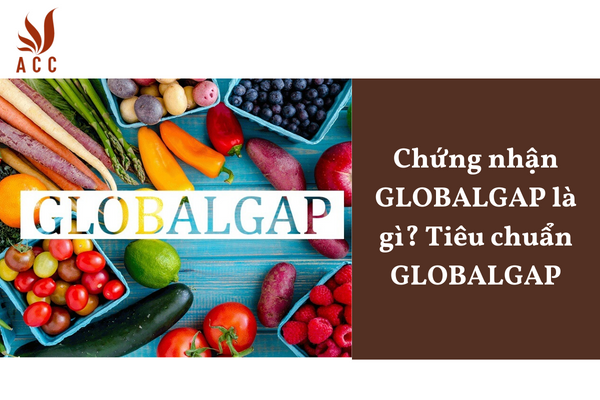Chứng nhận GLOBALGAP là gì? Tiêu chuẩn GLOBALGAP