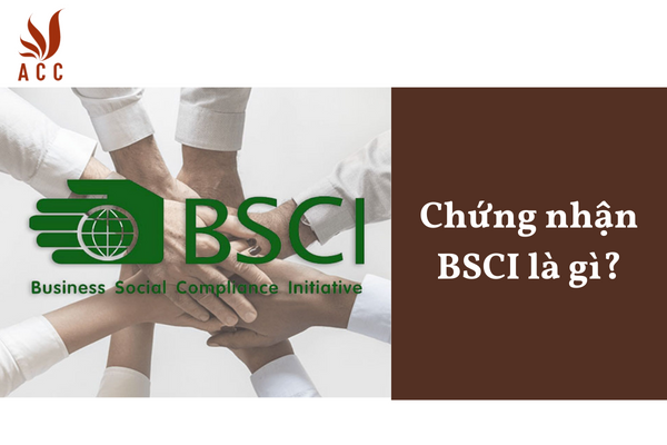 Chứng nhận BSCI là gì?