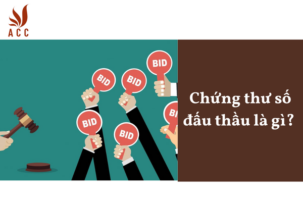 Chứng thư số đấu thầu là gì?