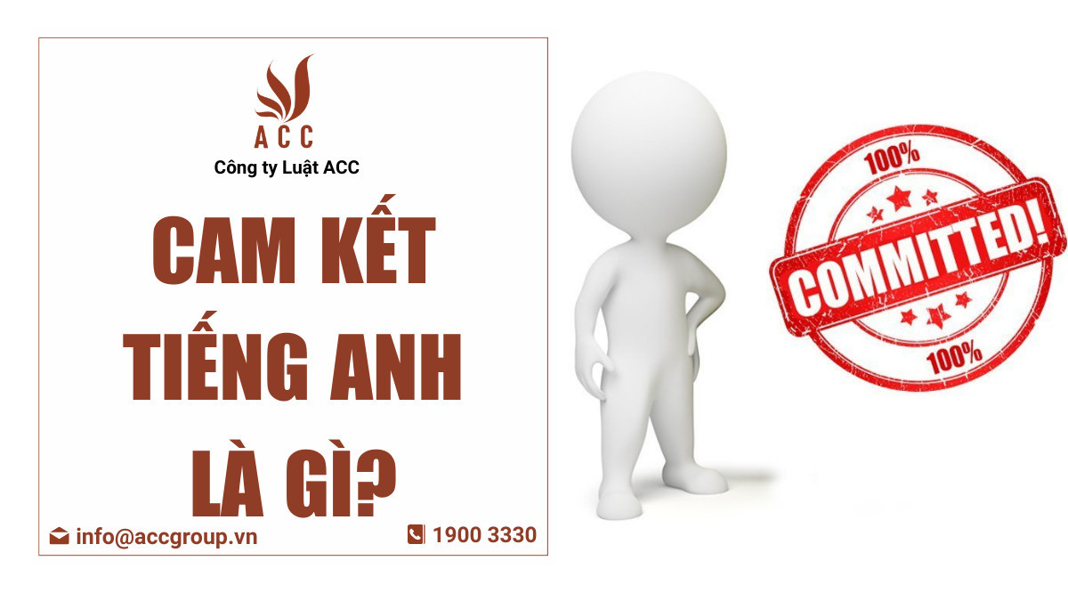 Cam kết tiếng Anh là gì?