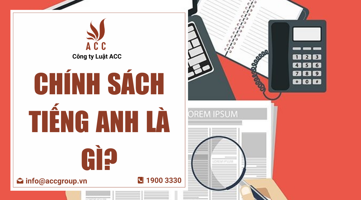 Chính sách tiếng Anh là gì?