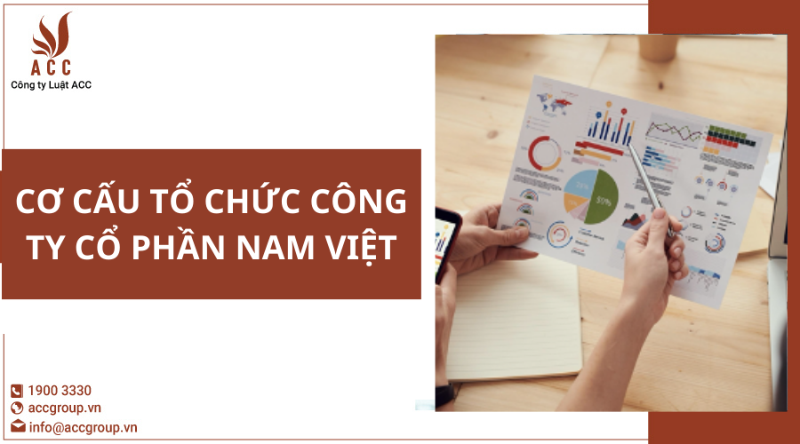 co-cau-to-chuc-cong-ty-co-phan-nam-viet