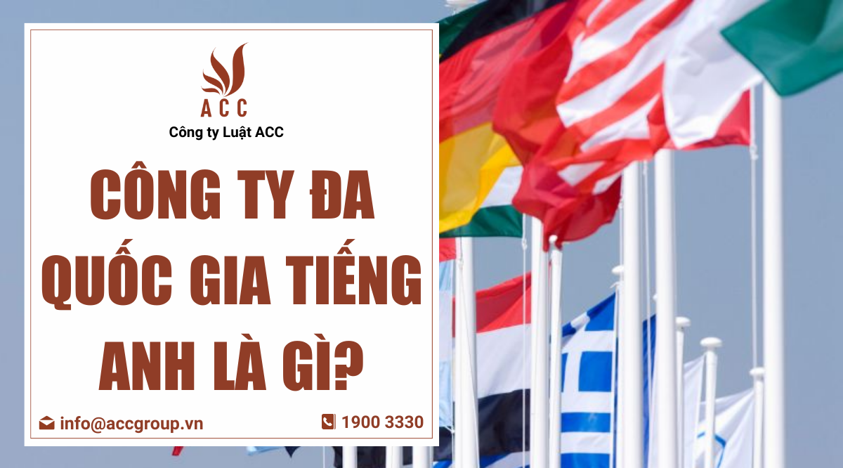 Công ty đa quốc gia tiếng Anh là gì?